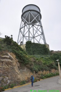 DSC_5523