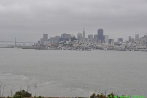 DSC_5571