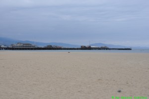 DSC_5920