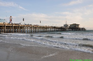 DSC_5986