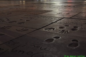 DSC_6044