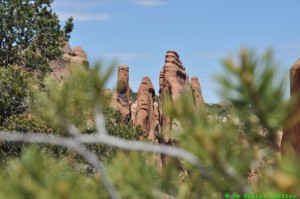 DSC_7051