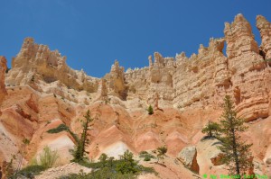 DSC_7483