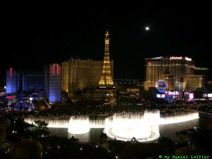 IMG_2351